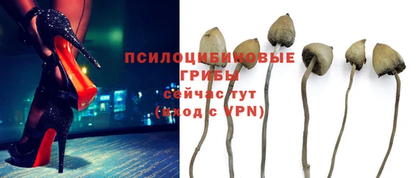 2c-b Нефтегорск