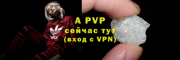 гашик Нея