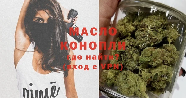 молекула духа Новозыбков