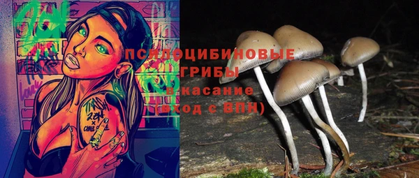 молекула духа Новозыбков