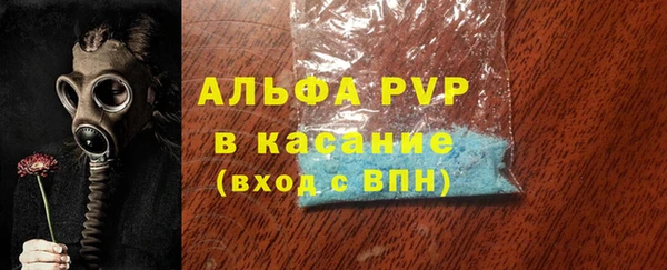 гашик Нея