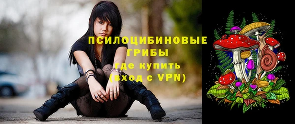гашик Нея