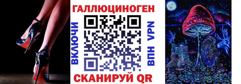 Купить где  Лениногорск  Галлюциногенные грибы Cubensis 